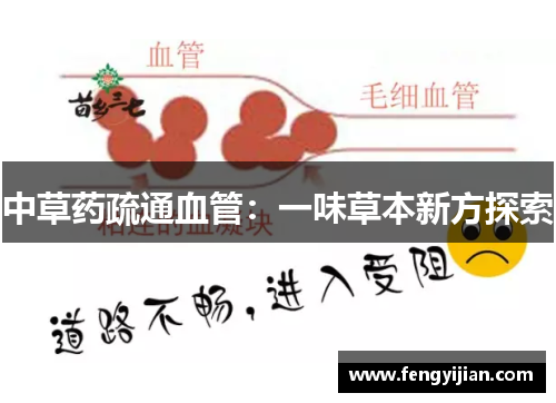 中草药疏通血管:一味草本新方探索 中草药疏通血管:一味草本新方探索