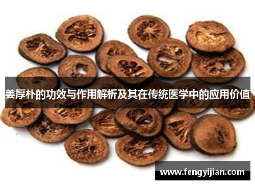 姜厚朴的功效与作用解析及其在传统医学中的应用价值 姜厚朴的功效与作用解析及其在传统医学中的应用价值
