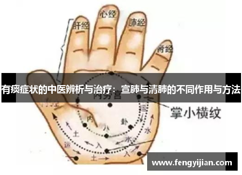 有痰症状的中医辨析与治疗：宣肺与清肺的不同作用与方法