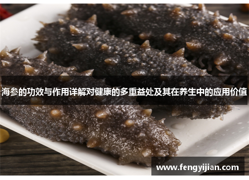 海参的功效与作用详解对健康的多重益处及其在养生中的应用价值