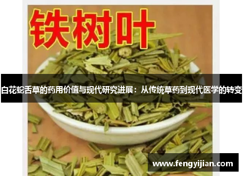 白花蛇舌草的药用价值与现代研究进展：从传统草药到现代医学的转变