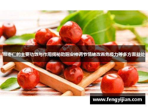 酸枣仁的主要功效与作用揭秘助眠安神调节情绪改善免疫力等多方面益处 酸枣仁的主要功效与作用揭秘助眠安神调节情绪改善免疫力等多方面益处