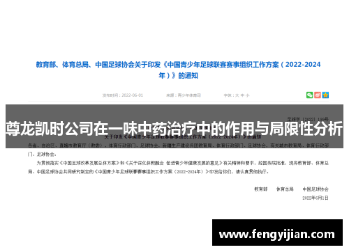 尊龙凯时公司在一味中药治疗中的作用与局限性分析