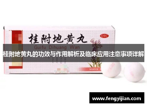 桂附地黄丸的功效与作用解析及临床应用注意事项详解