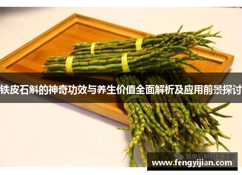 铁皮石斛的神奇功效与养生价值全面解析及应用前景探讨