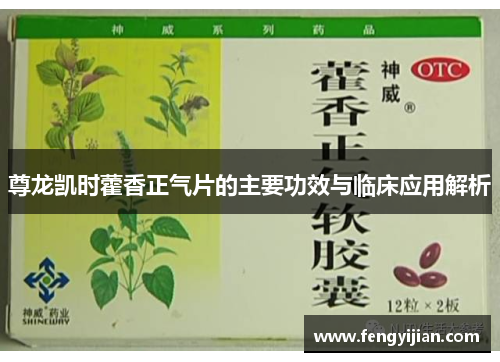 尊龙凯时藿香正气片的主要功效与临床应用解析 尊龙凯时藿香正气片的主要功效与临床应用解析