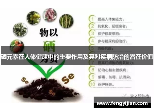 硒元素在人体健康中的重要作用及其对疾病防治的潜在价值