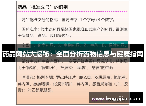 药品网站大揭秘:全面分析药物信息与健康指南 药品网站大揭秘:全面分析药物信息与健康指南
