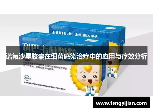 诺氟沙星胶囊在细菌感染治疗中的应用与疗效分析